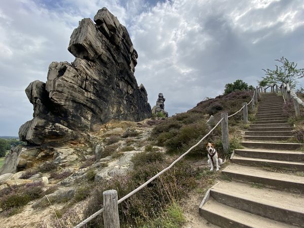 Wander-Auszeit mit Hund / 6 Tage in Thale, Sachsen-Anhalt inkl. Halbpension Plus