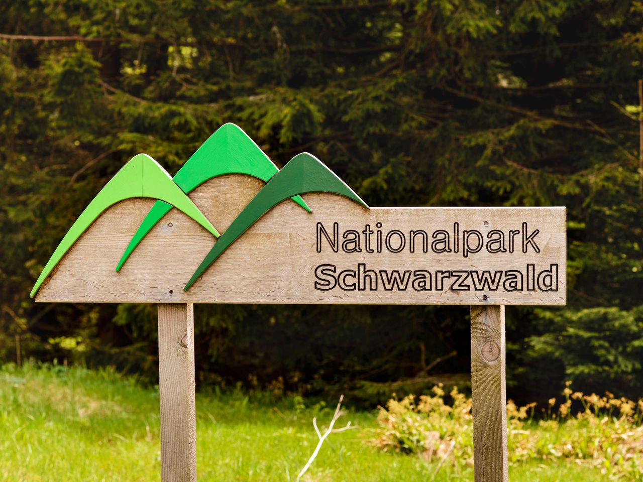 Tapetenwechsel Schwarzwald-Einfach was anderes sehen
