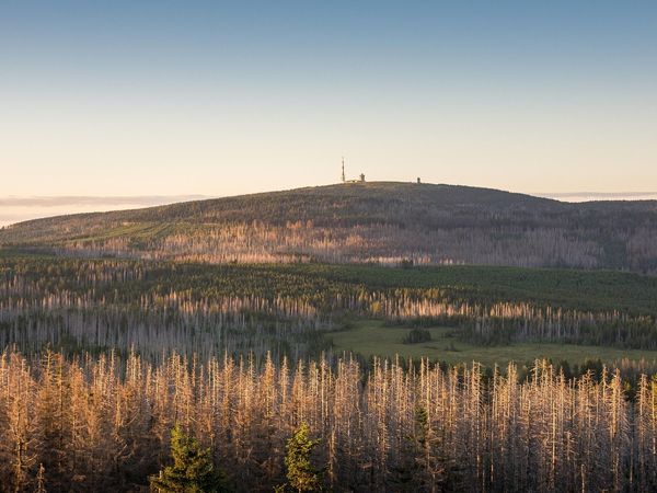 Auszeit im Harz inkl. HP I 6 Tage Kurz-Mal-Natur in Bad Lauterberg, Niedersachsen inkl. Halbpension