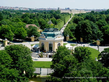 Tiergarten Schönbrunn Wien mit Hotel