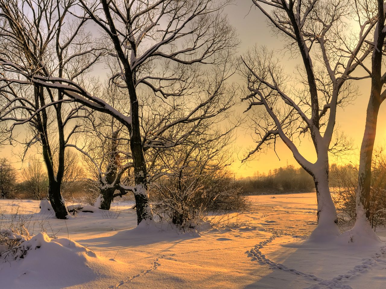 Weihnachtszeit am Müritz-Nationalpark