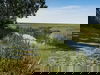 FEINHEIMISCH an der NORDSEEKÜSTE