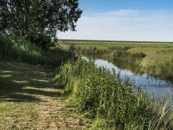 3 Tage Nordsee – Entspannen in Westerhever