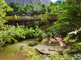 Tropisch Zelten nahe Berlin! 2 Tage Kurzurlaub mit Frühstück im Zelte at Tropical Islands