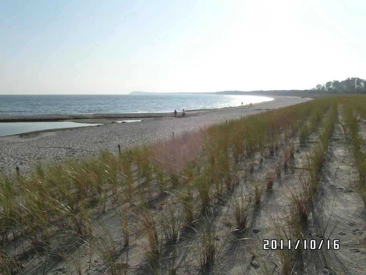 4 Tage im Pension Deichgraf mit Frühstück