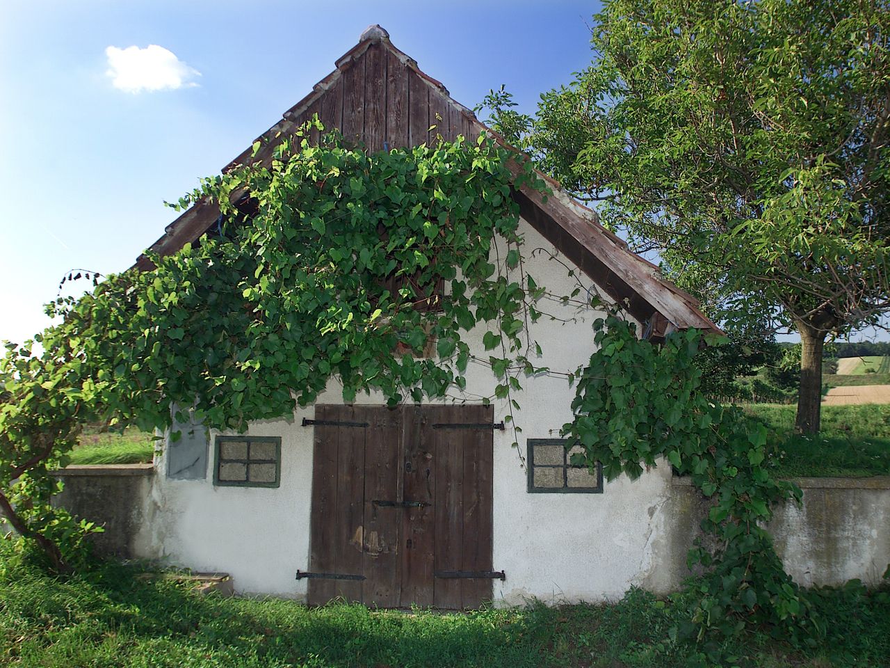 Urlaub an der Donau / 5 Tage mit Frühstück im Altes Kloster Hotel