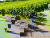 Naturerlebnis am wunderbaren Kaiserstuhl