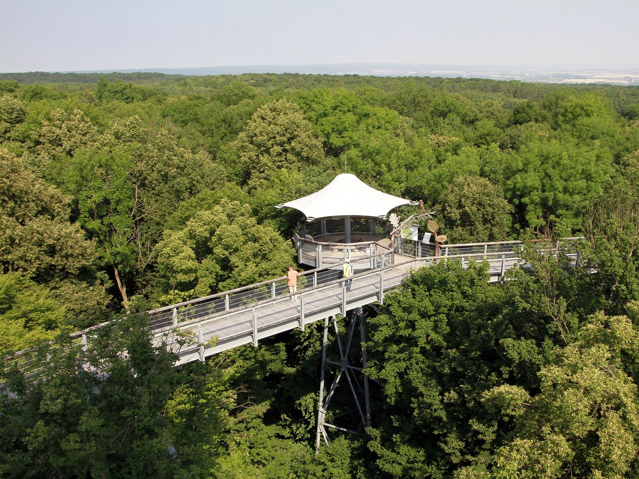 4 Tage Natur pur mit Ausflug zum Nationalpark Hainich