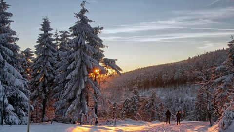 Winterlandschaft in Oberhof