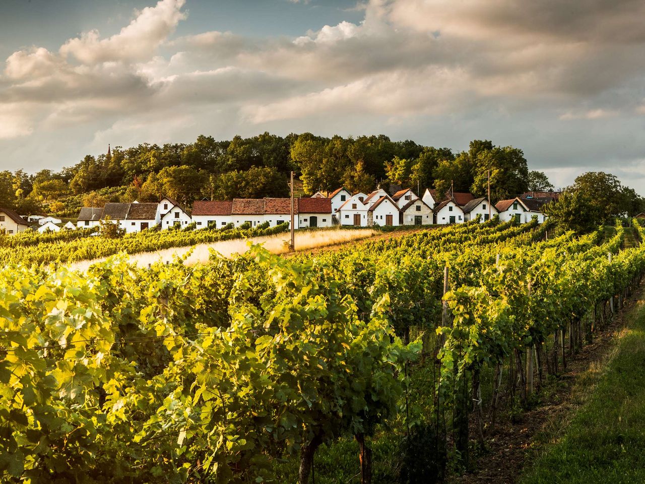 5 Wohlfühlnächte im herrlichen Weinviertel