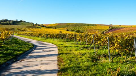 Westhessen