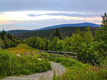 5 Tage Urlaub im Harz - inkl. Halbpension