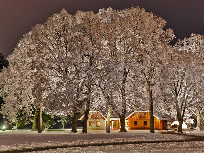 3 Tage Wellness Pur inkl. Massage & Zirbenöl-Bad