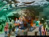 2 Tage - Tierisches Vergnügen Zoom Erlebniswelt