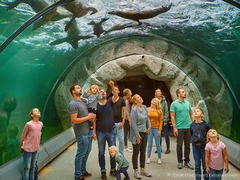 2 Tage - Tierisches Vergnügen Zoom Erlebniswelt