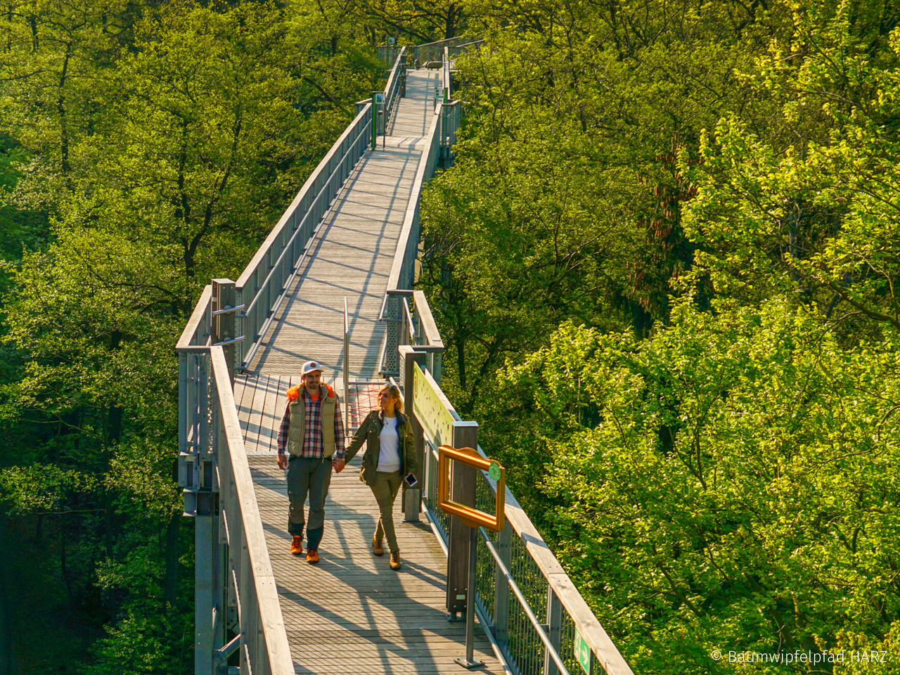 Baumwipfelpfad Harz, Burgberg-Seilbahn & Wellness