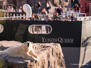 Zoo Hannover mit Übernachtung