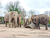 Tierpark und Tropen Aquarium Hagenbeck in Hamburg mit Hotel