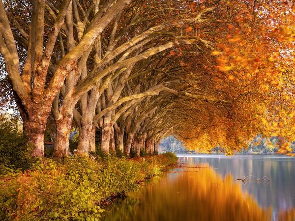 Kurztrip im Herbst in Kronberg im Taunus Frühstück