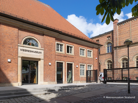 Meeresmuseum Stralsund mit Ticket und Hotel