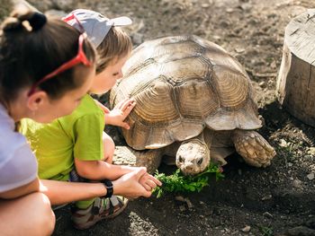 Ostereiersuche im ZOO 4 Tage