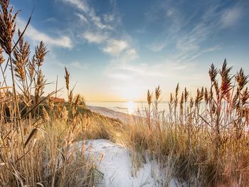 4 Tage Ostsee-Winter-Knaller inkl. Halbpension Plus