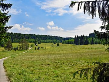Beruhigende Landschaft des Erzgebirges
