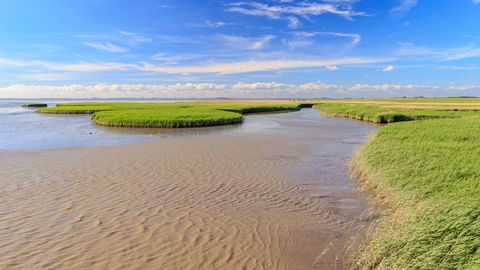 Nationalpark Niedersächsisches Wattenmeer