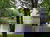 Gratis Tage 7=5 im Elbsandsteingebirge inkl. Therme