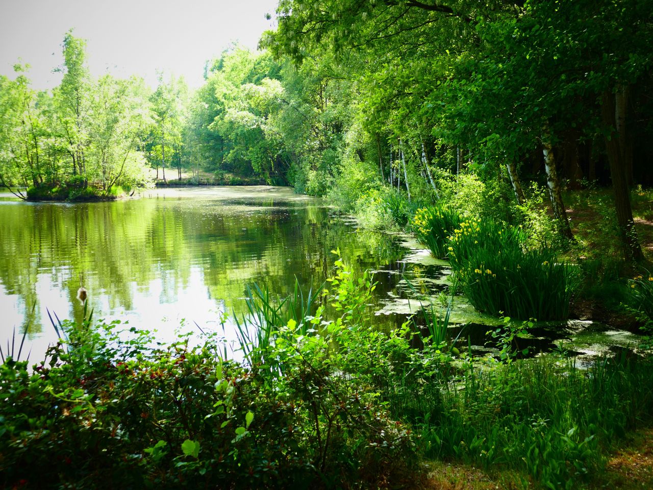 Kuschelzeit - Romantik und Entspannung in der Heide