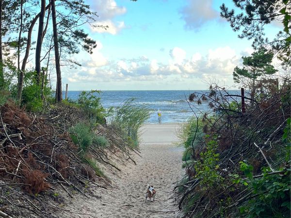 8 Tage Wochenurlaub an der schönen Ostsee in Pobierowo, Westpommern inkl. Frühstück