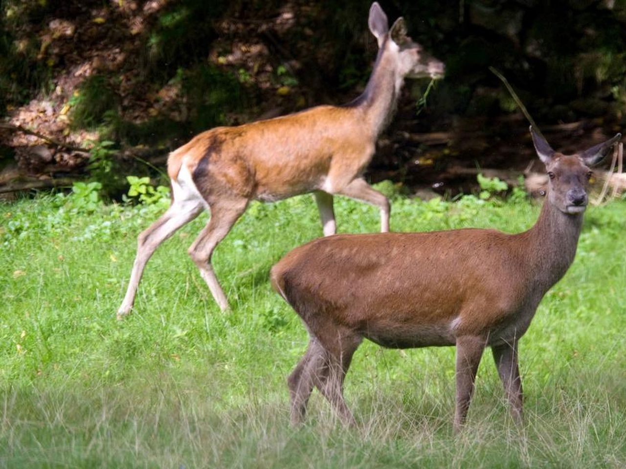 Abschalten und die Natur genießen Kurpark