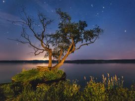 Last Minute Erlebnis Lausitzer Seenland - 5 Tage