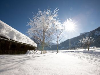 Einfach mal raus und rein ins Wintermärchen