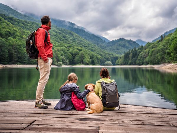 3 Tage Familienurlaub mit Hund im Harz -Halbpension Plus in Bad Lauterberg, Niedersachsen inkl. Halbpension Plus