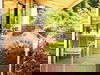 2 Tage Thermaltraum im Chiemgau: relaxen & entspannen