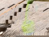 SIMPLY RESET – 2 Tage: Einfach aber mit Komfort
