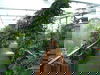 Stadt Land Biosphäre Potsdam - 4 Tage