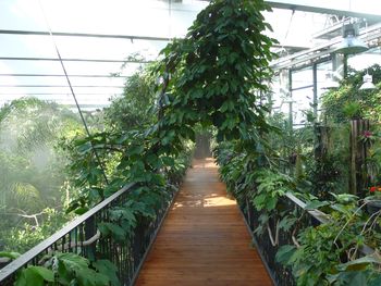 Stadt Land Biosphäre Potsdam - 4 Tage