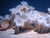 OZEANEUM Stralsund mit Ticket und Hotel