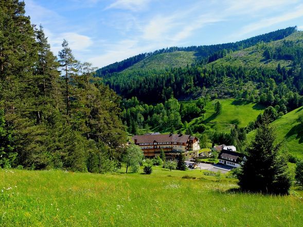 Tanne Tonbach - Wellness & Wohlfühl Hotel