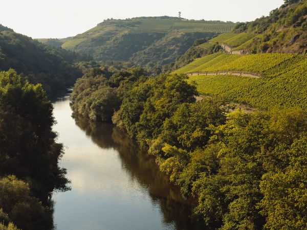 5 Tage Sommerauszeit an der Nahe in Niederhausen (Nahe), Rheinland-Pfalz inkl. Halbpension