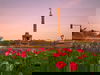 Berlin, Berlin! - 7 Tage