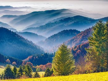 9 Tage im Waldeck SPA Kur-und Wellness mit Frühstück