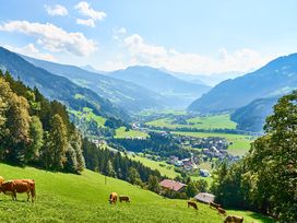 3 vielfältige Urlaubstage im Zillertal mit HP