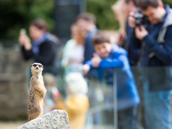 Faszination Gondwanaland im Zoo Leipzig