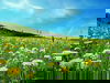 Willinger Wochenende - 3 Tage Sauerland