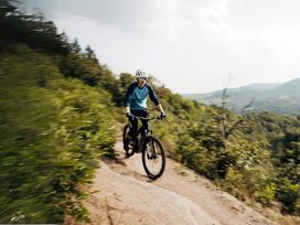 Wanderurlaub Pfälzerwald inkl. Halbpension | 5 Tage