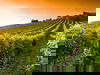 9 entspannte Tage im NH Weinheim 