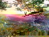 Relax & Stay 4=3